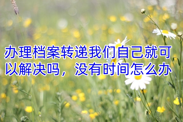 办理档案转递我们自己就可以解决吗，没有时间怎么办