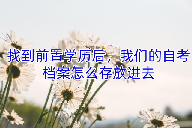 找到前置学历后，我们的自考档案怎么存放进去