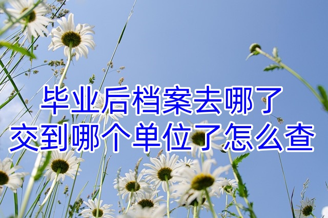 毕业后档案去哪了交到哪个单位了怎么查