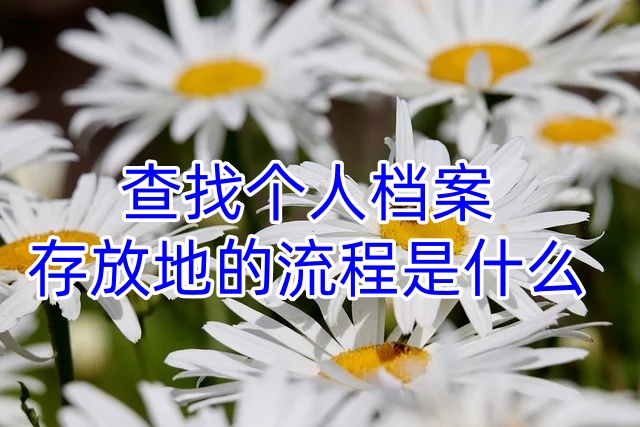 查找个人档案存放地的流程是什么
