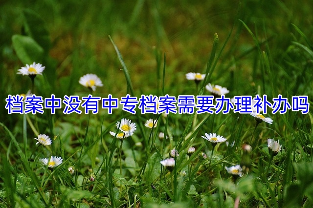 档案中没有中专档案需要办理补办吗