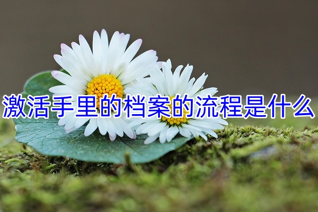 激活手里的档案的流程是什么