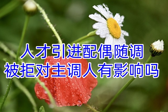 人才引进配偶随调被拒对主调人有影响吗