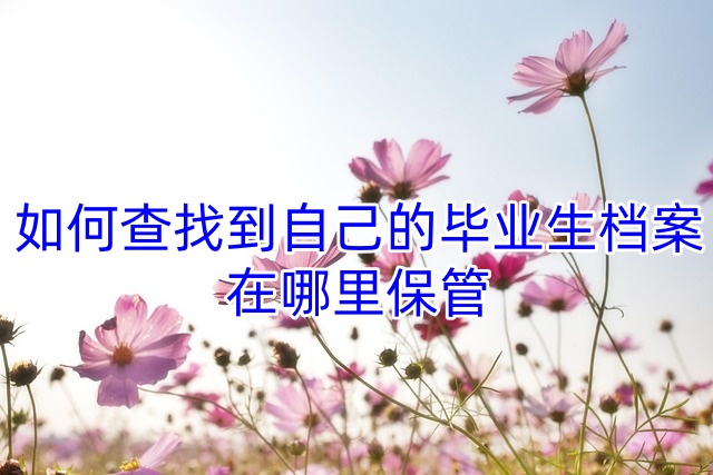 如何查找到自己的毕业生档案在哪里保管