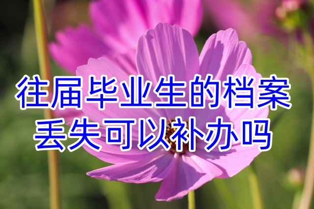 往届毕业生的档案丢失可以补办吗