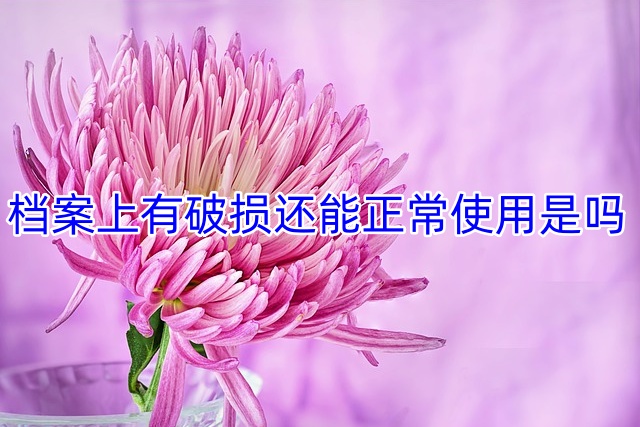 档案上有破损还能正常使用是吗