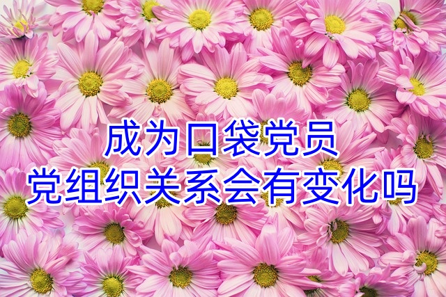 成为口袋党员党组织关系会有变化吗