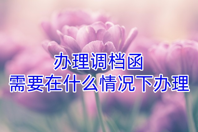 办理调档函需要在什么情况下办理