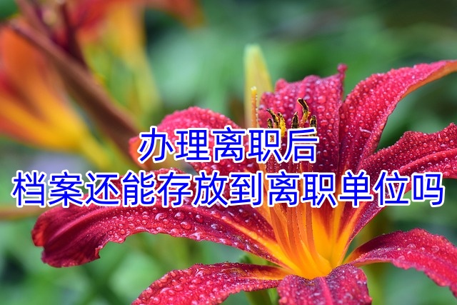 办理离职后档案还能存放到离职单位吗
