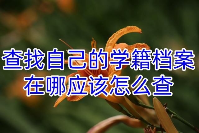 查找自己的学籍档案在哪应该怎么查