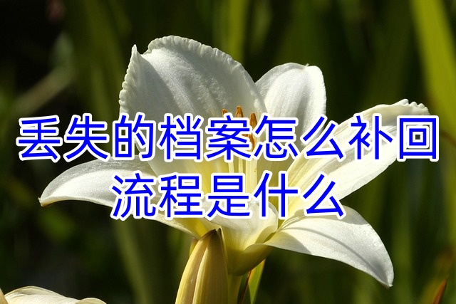 丢失的档案怎么补回，流程是什么