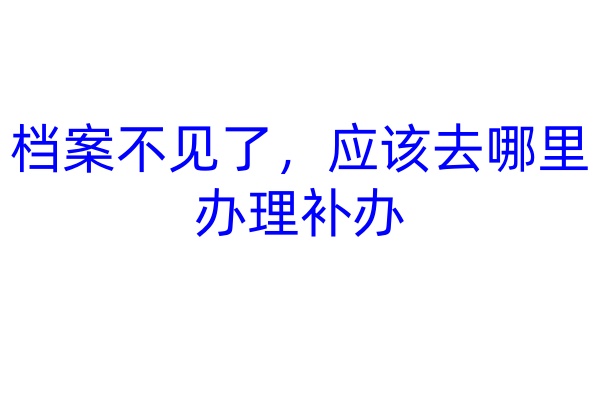 档案不见了，应该去哪里办理补办