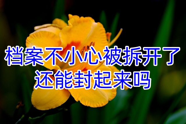 档案不小心被拆开了，还能封起来吗