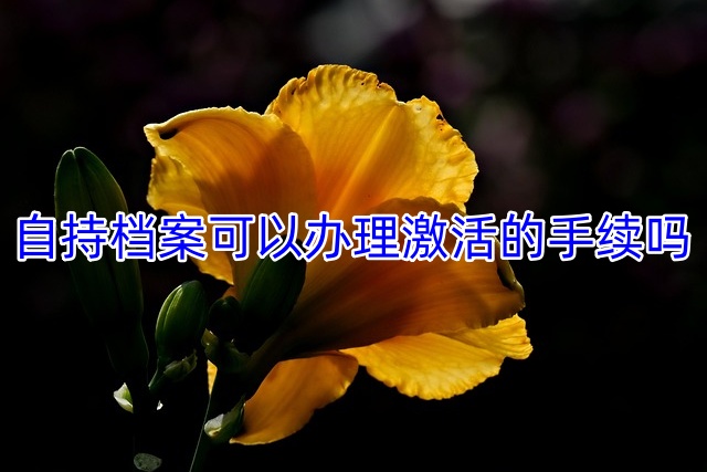 自持档案可以办理激活的手续吗