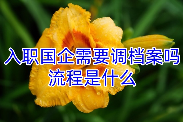 入职国企需要调档案吗，流程是什么
