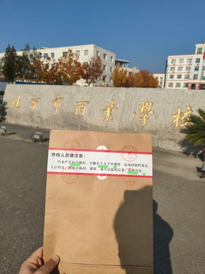 北京档案补办代办公司优选智嘉案例