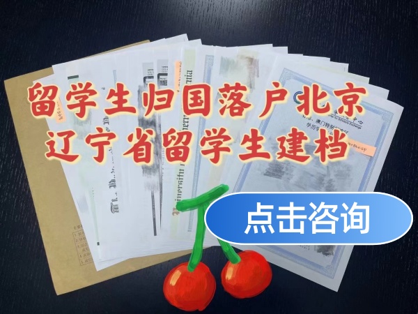 留学生办理档案怎么办理，详细流程与所需材料