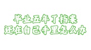 毕业五年了档案还在自己手里