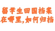 留学生回国档案