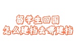 留学生回国建档
