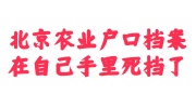 北京农业户口档案