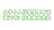大学个人档案袋