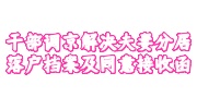 干部调京解决夫妻分居落户