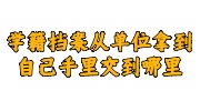 学籍档案