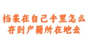 档案在自己手里