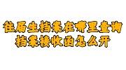 往届生档案