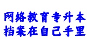 网络教育专升本档案