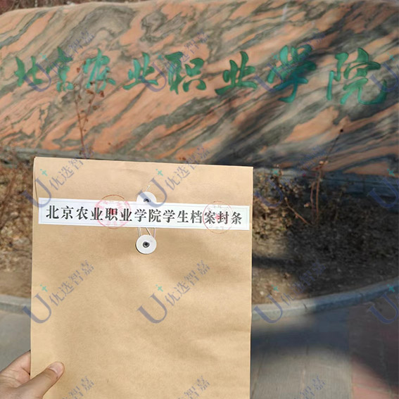 档案的封条和公章样子 档案的封条和公章样子
