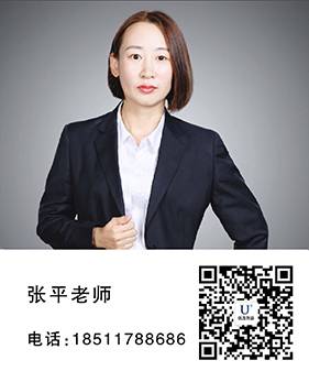 人才档案查询张平老师