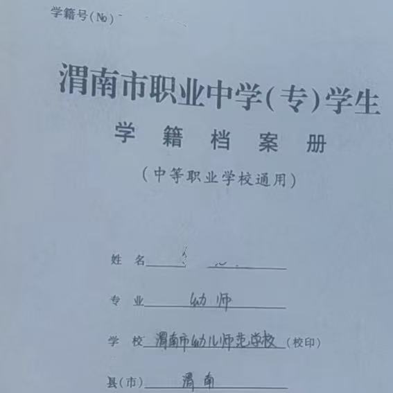 渭南市职业中学（专）学籍档案